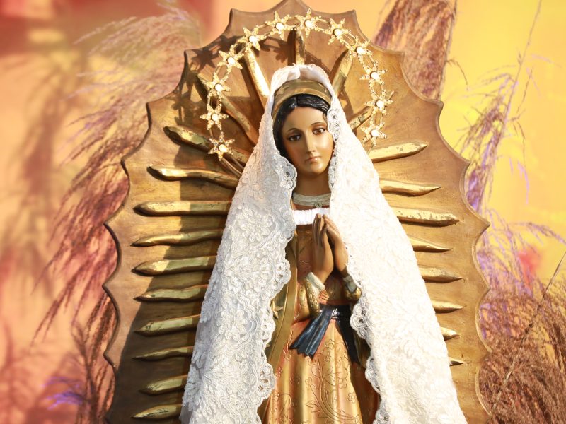 Dom Peruzzo preside Santa Missa em honra a Nossa Senhora de Guadalupe com Padre Reginaldo Manzotti